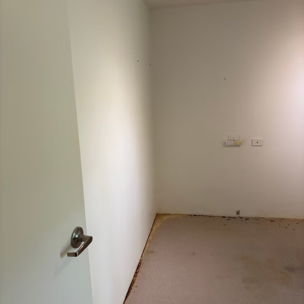 Mould remediation work in a home unit